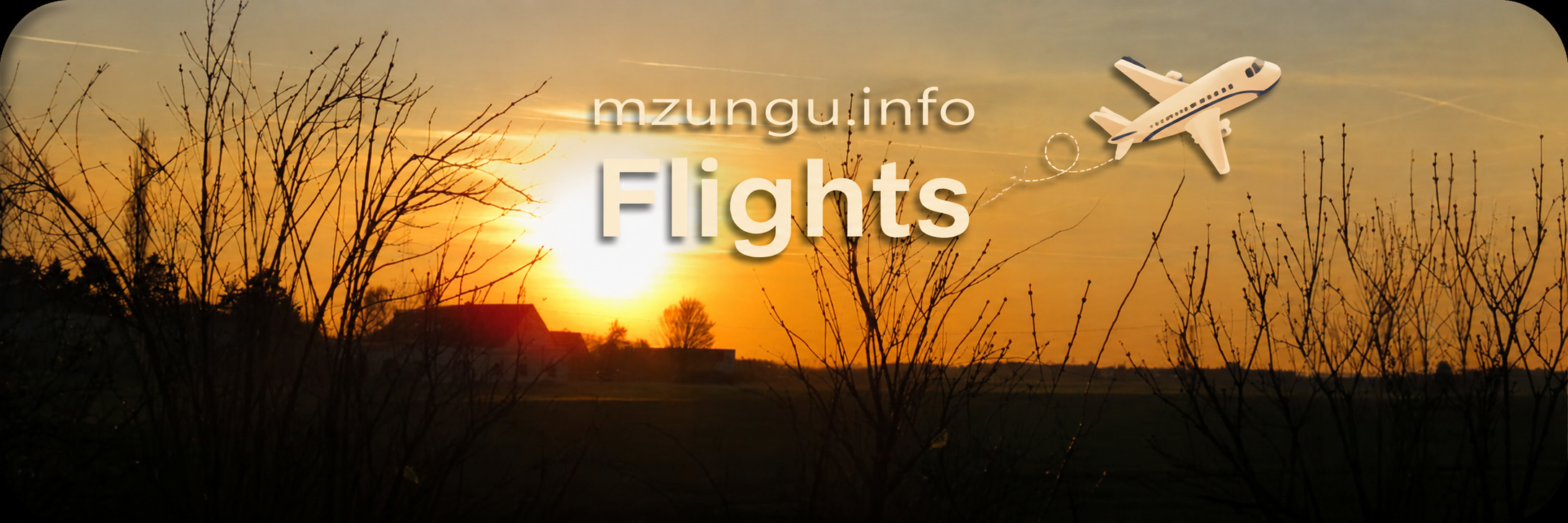 mzungu.info Flights